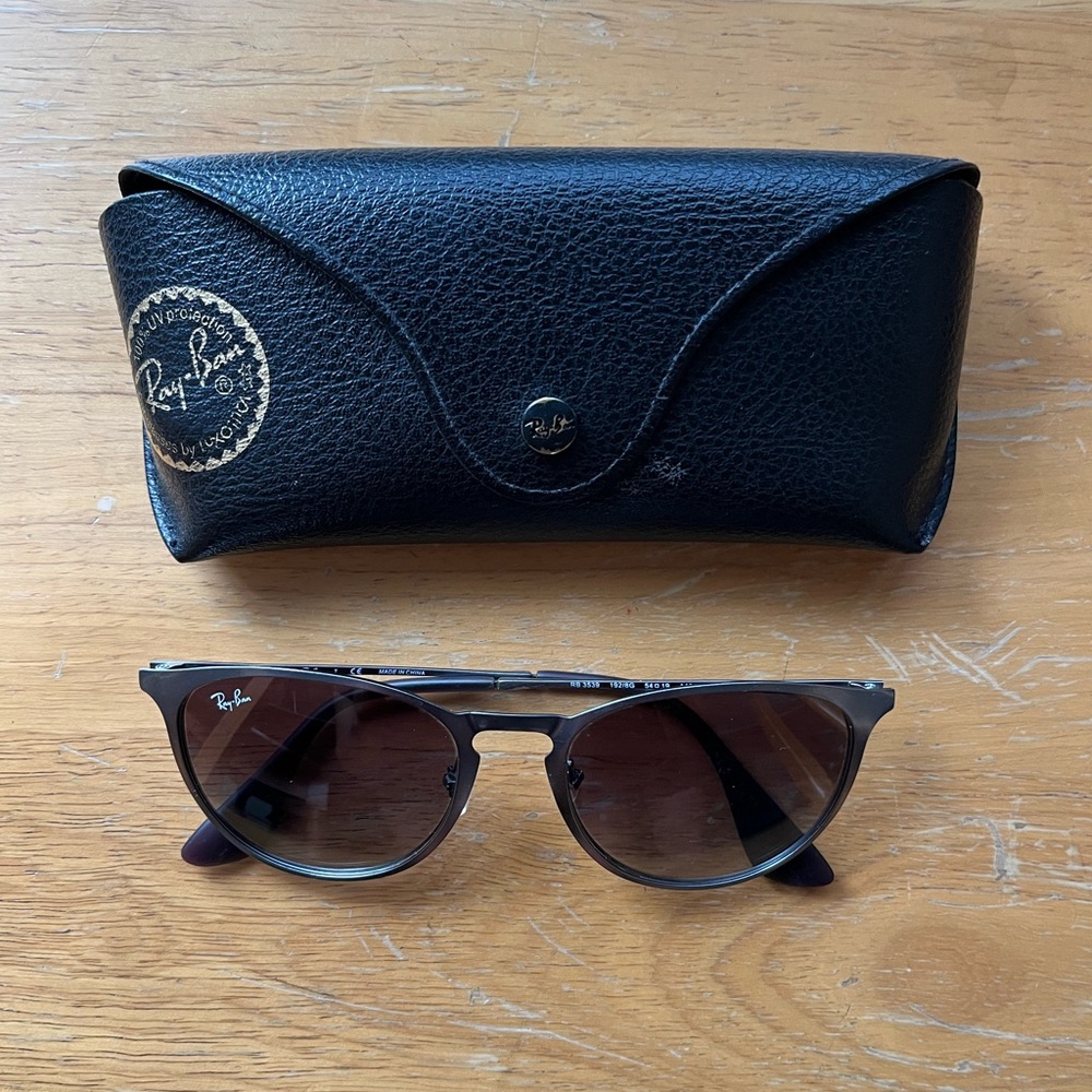 Ray Ban Erika Classic